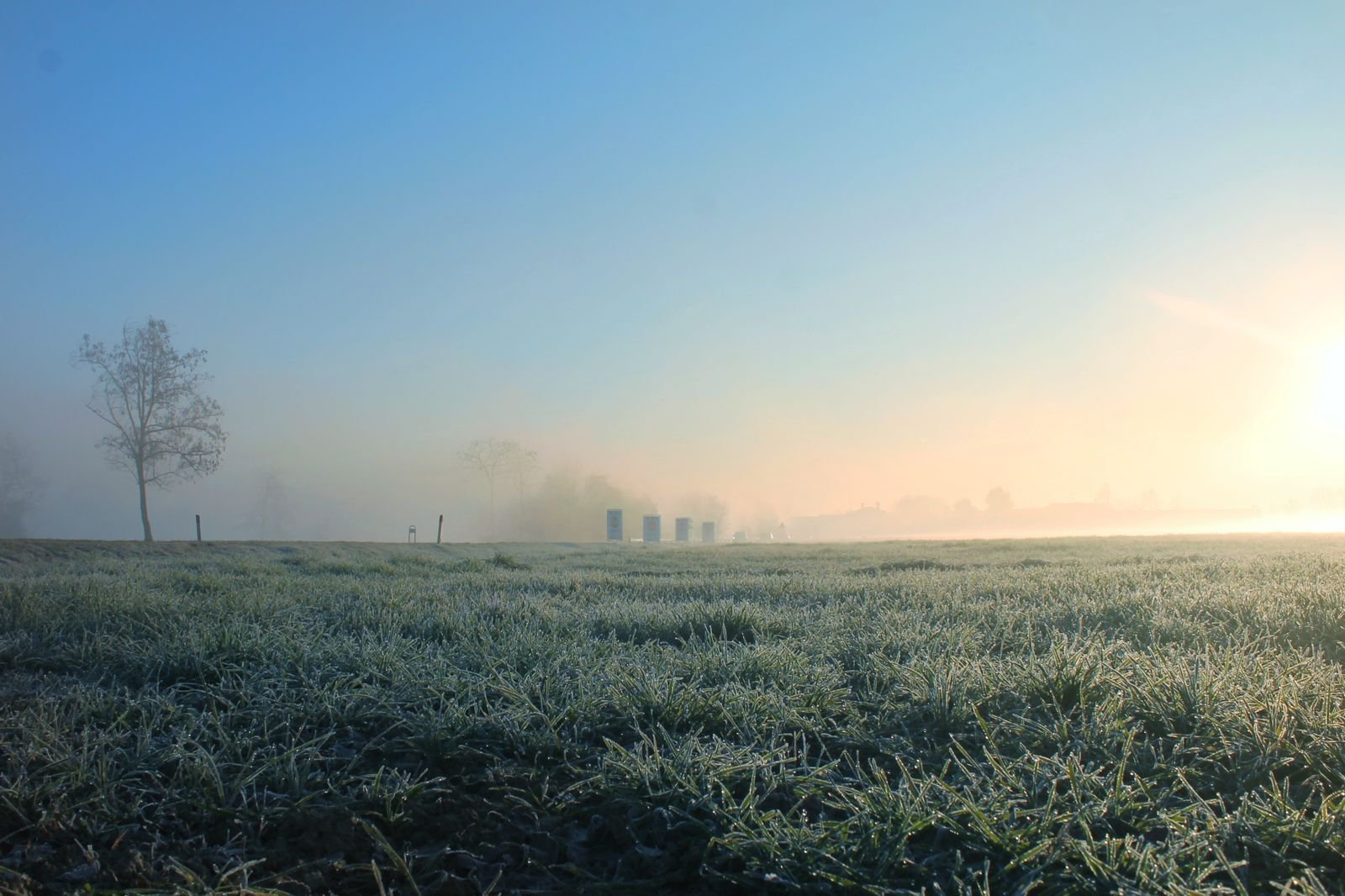 Misty grass field covered with morning dew at sunrise